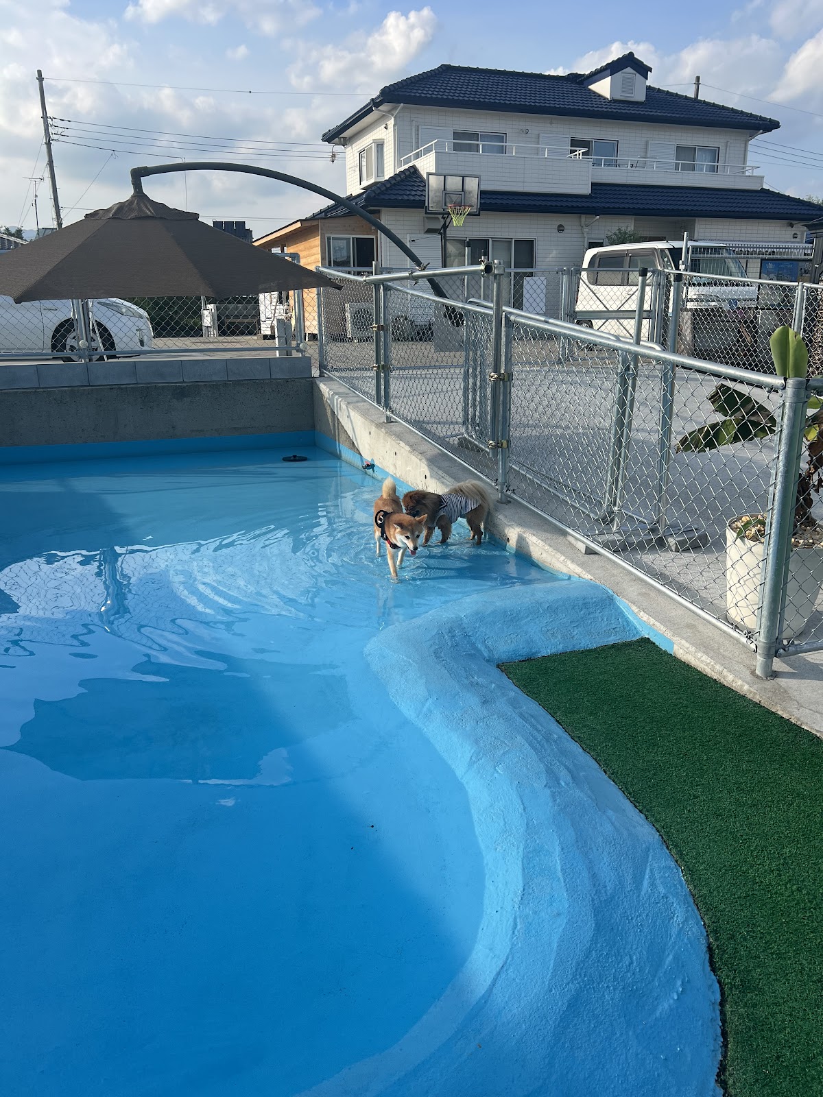 Pet park.Oneの実際の写真