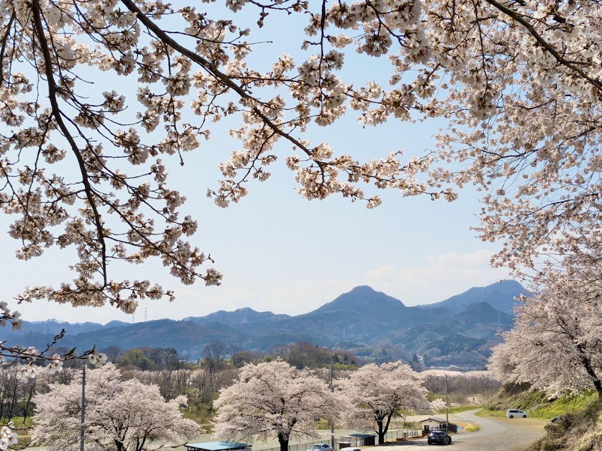 中之条町営河川敷ドッグラン ポチのひろばの実際の写真