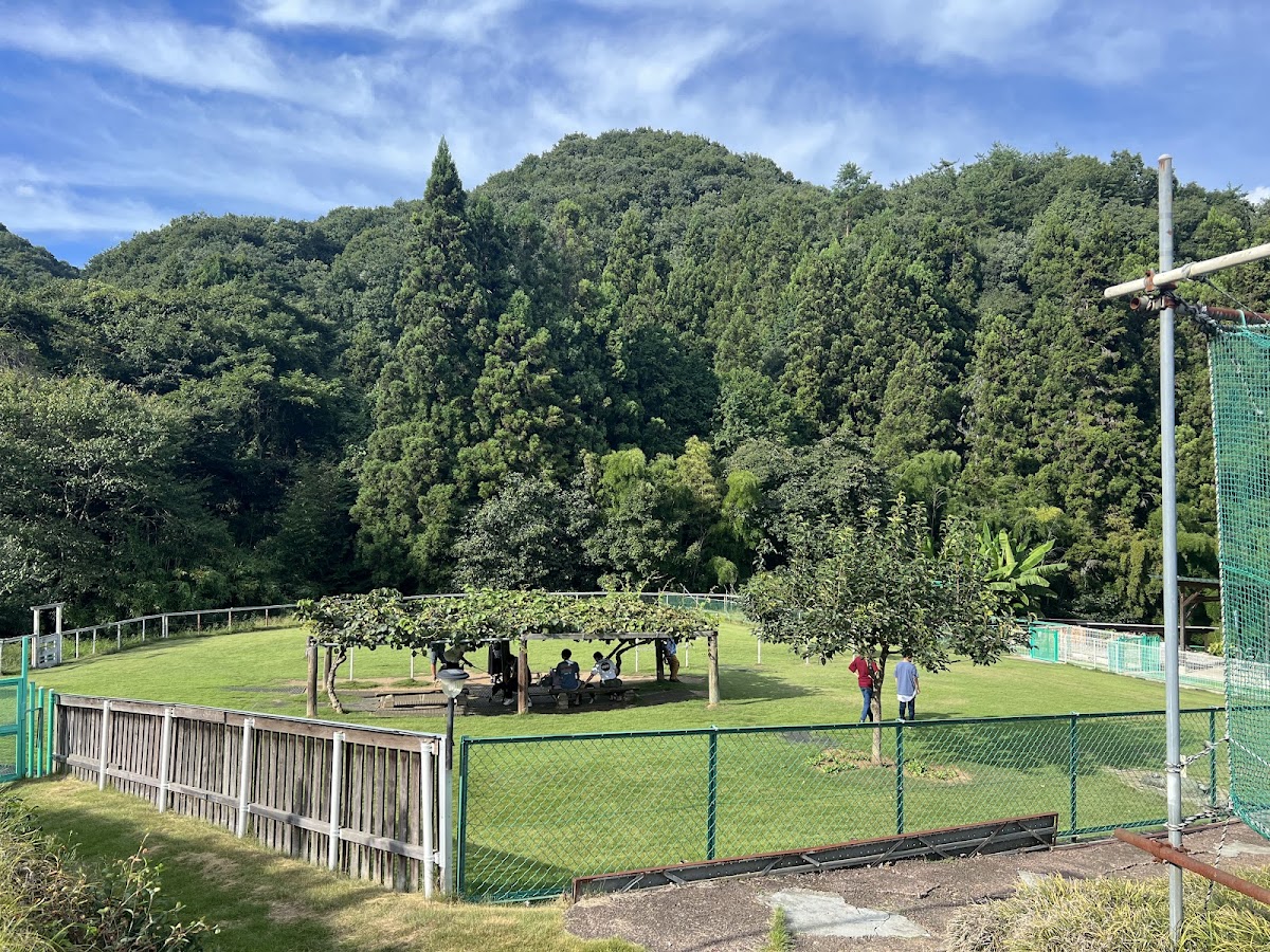 やまのうえランドの実際の写真