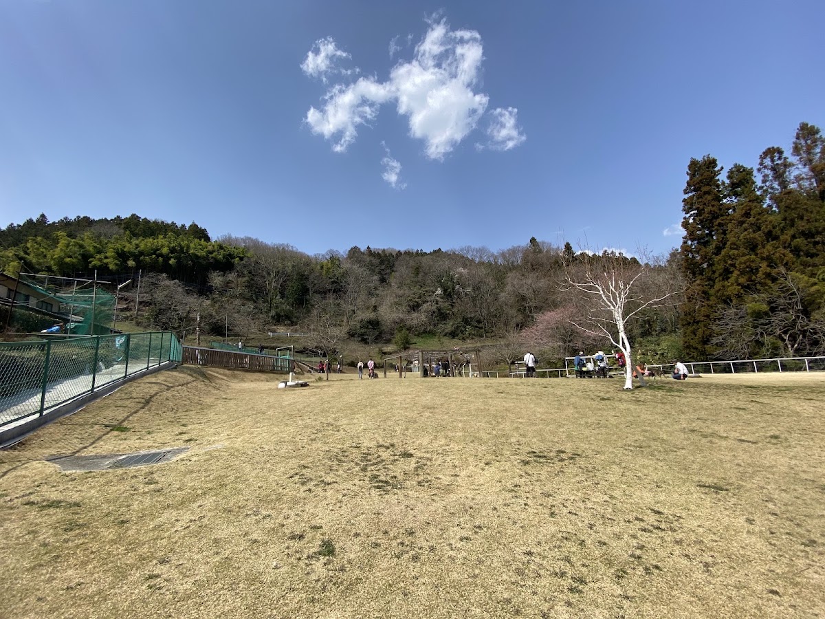 やまのうえランドの実際の写真
