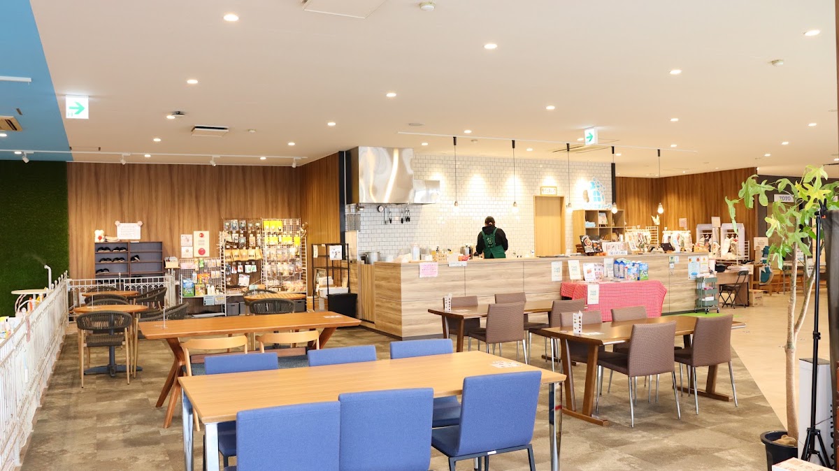 DogRun&Cafeお犬さまパークの実際の写真