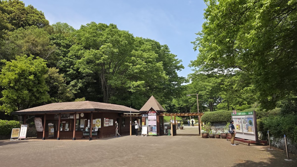 国営武蔵丘陵森林公園の実際の写真