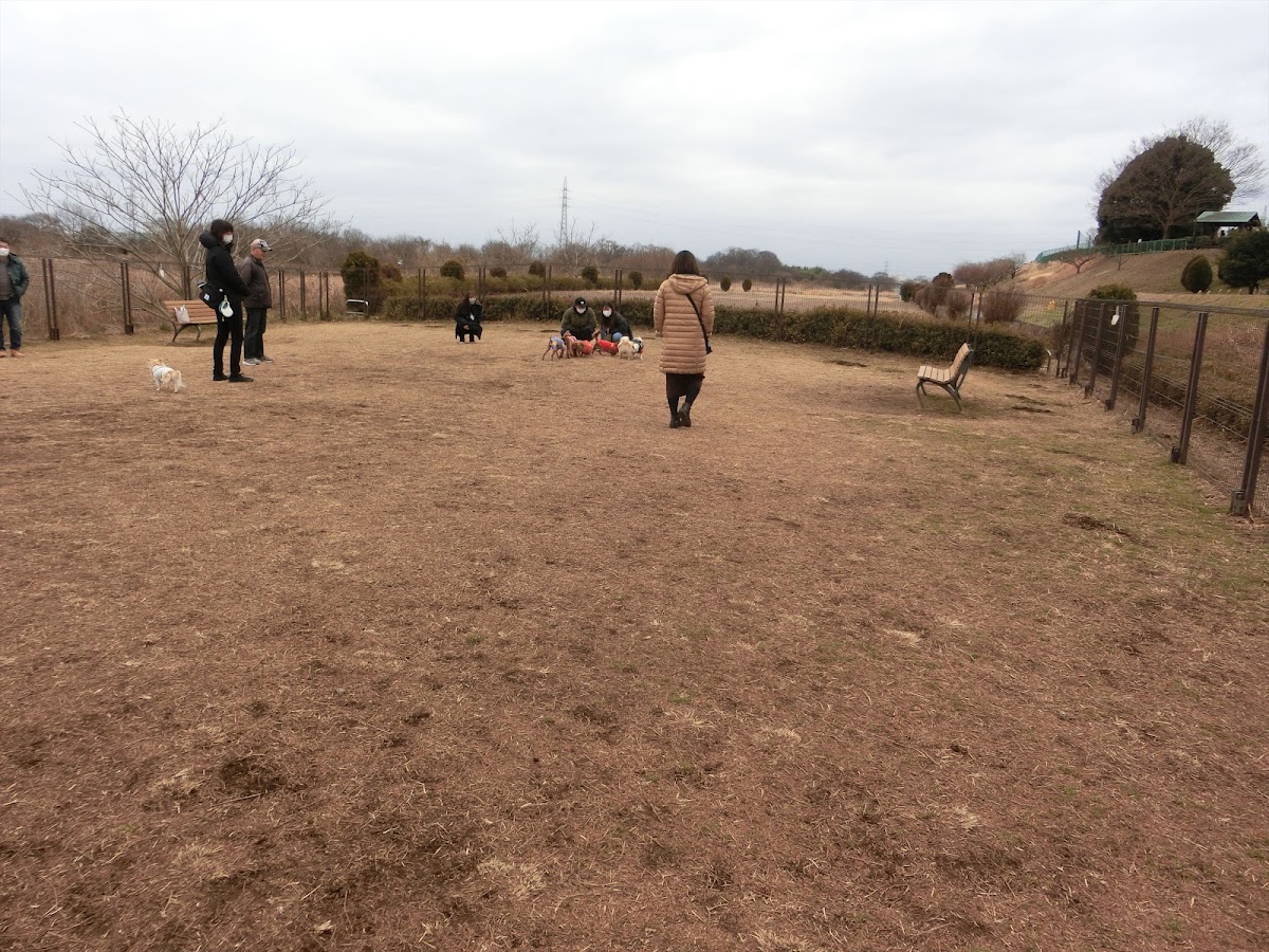 安比奈親水公園 ドッグラン