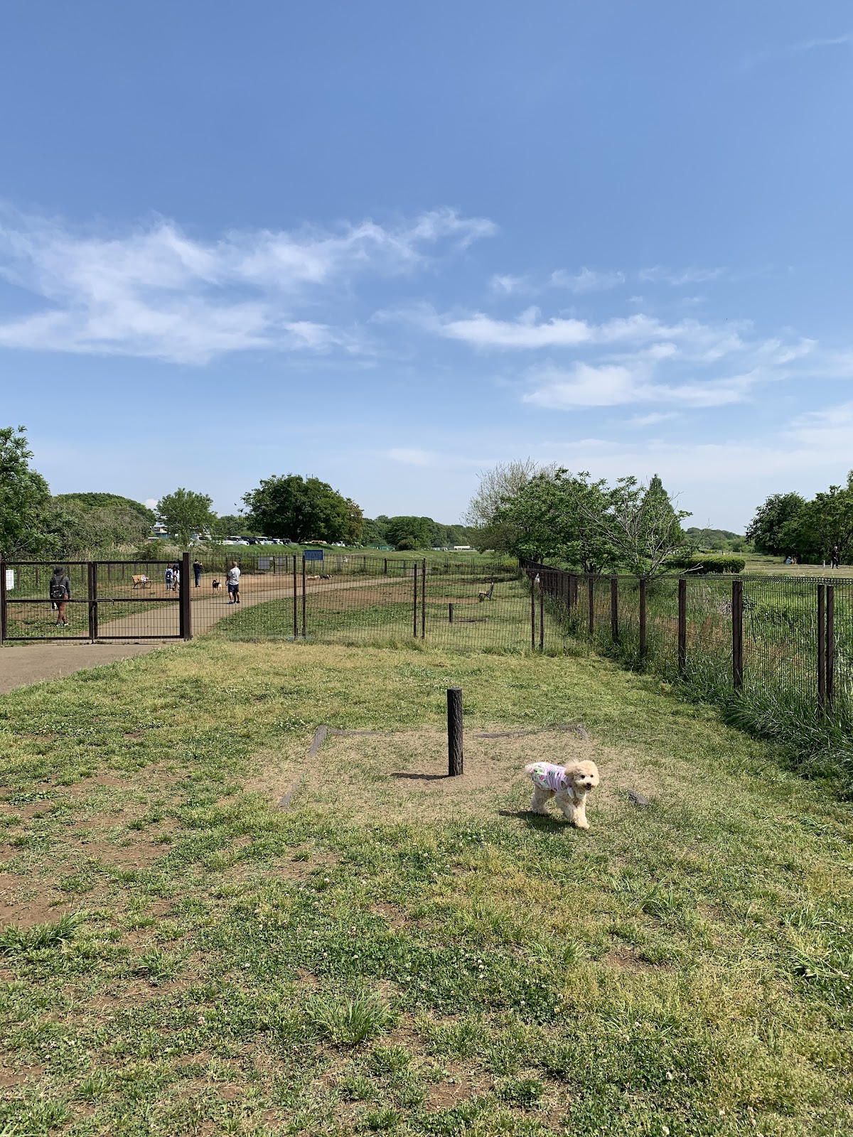 安比奈親水公園 ドッグランの実際の写真