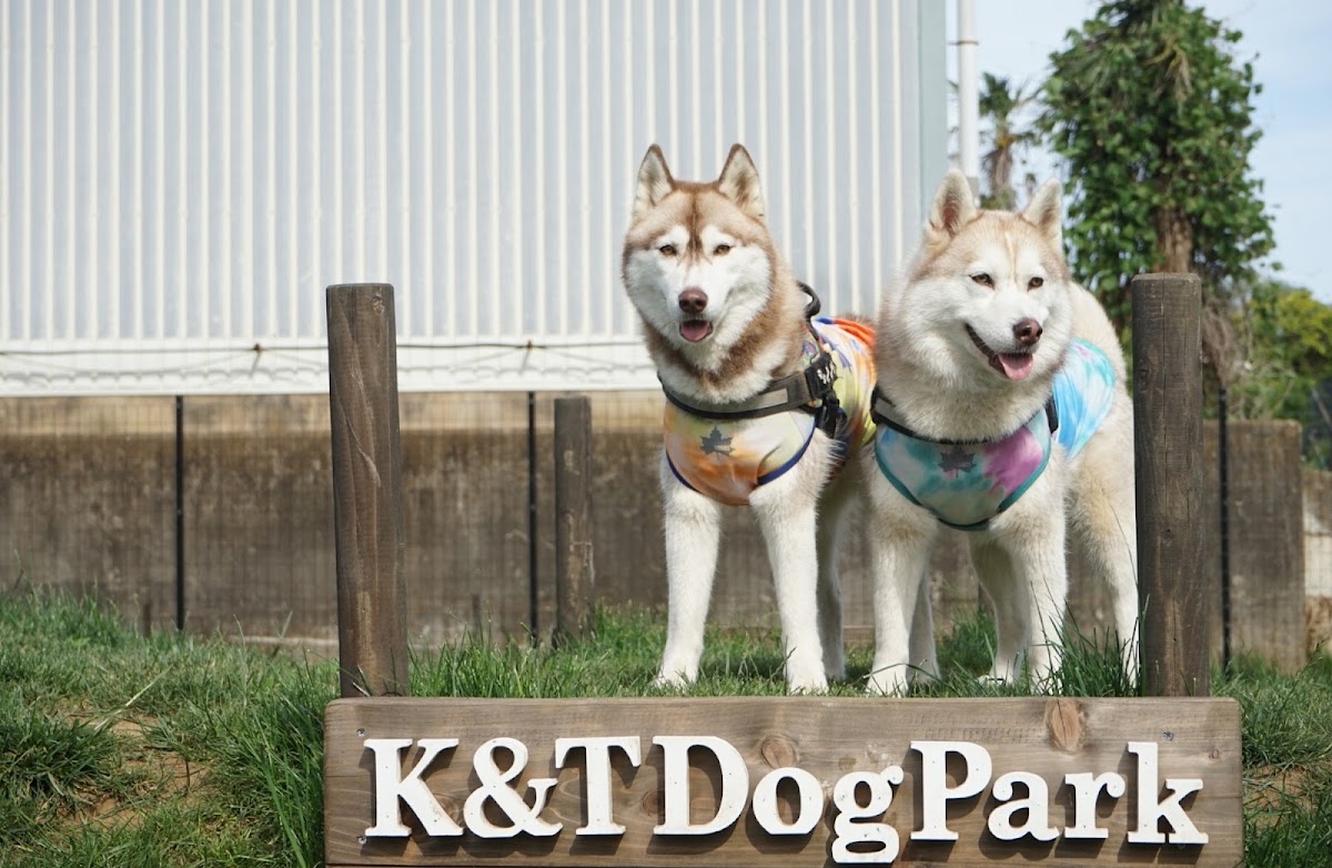 K&T DogPark