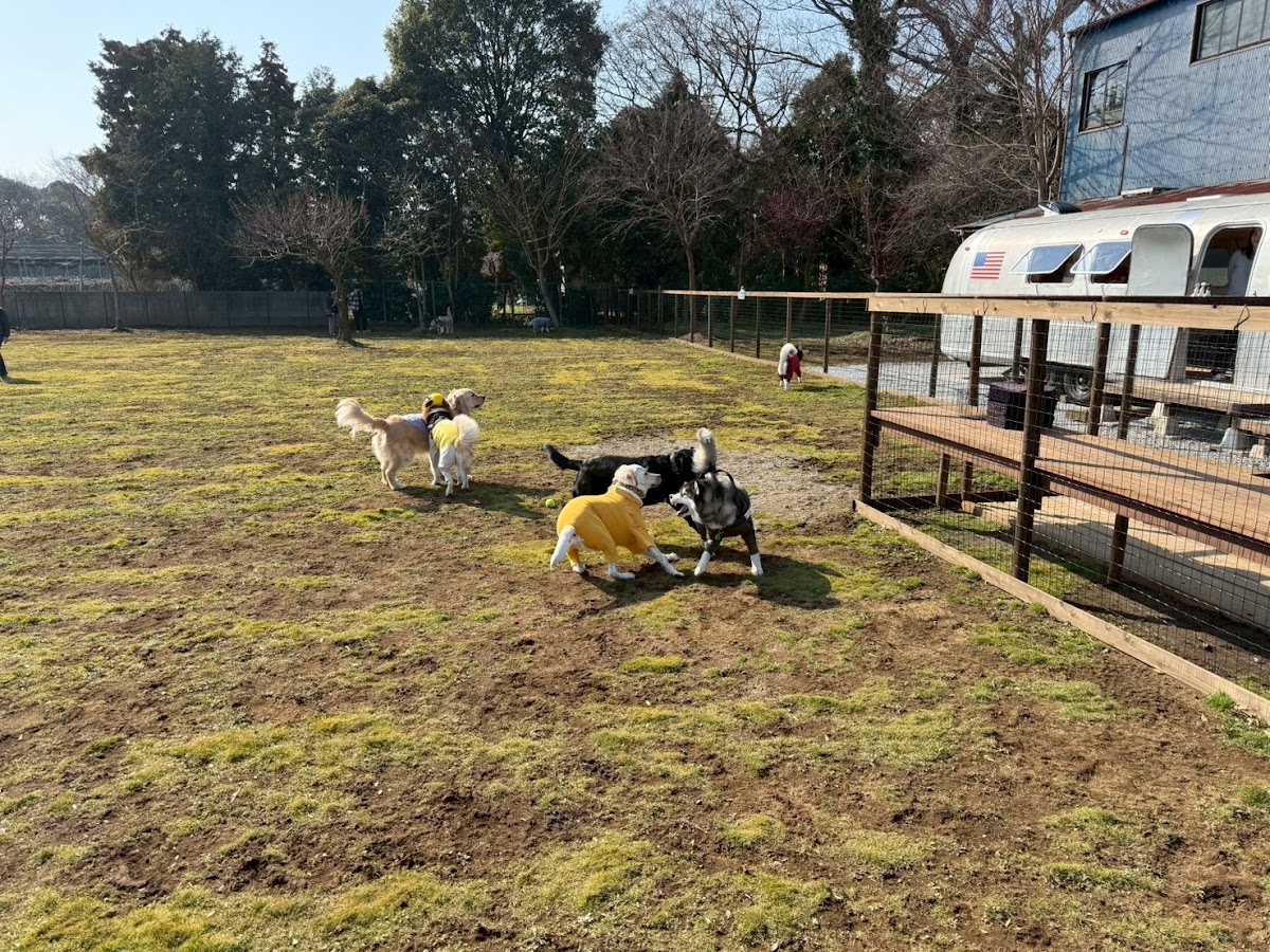 K&T DogParkの実際の写真