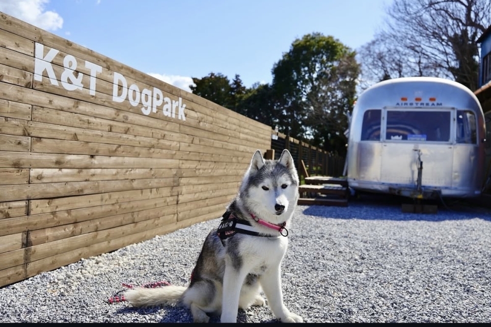 K&T DogParkの実際の写真