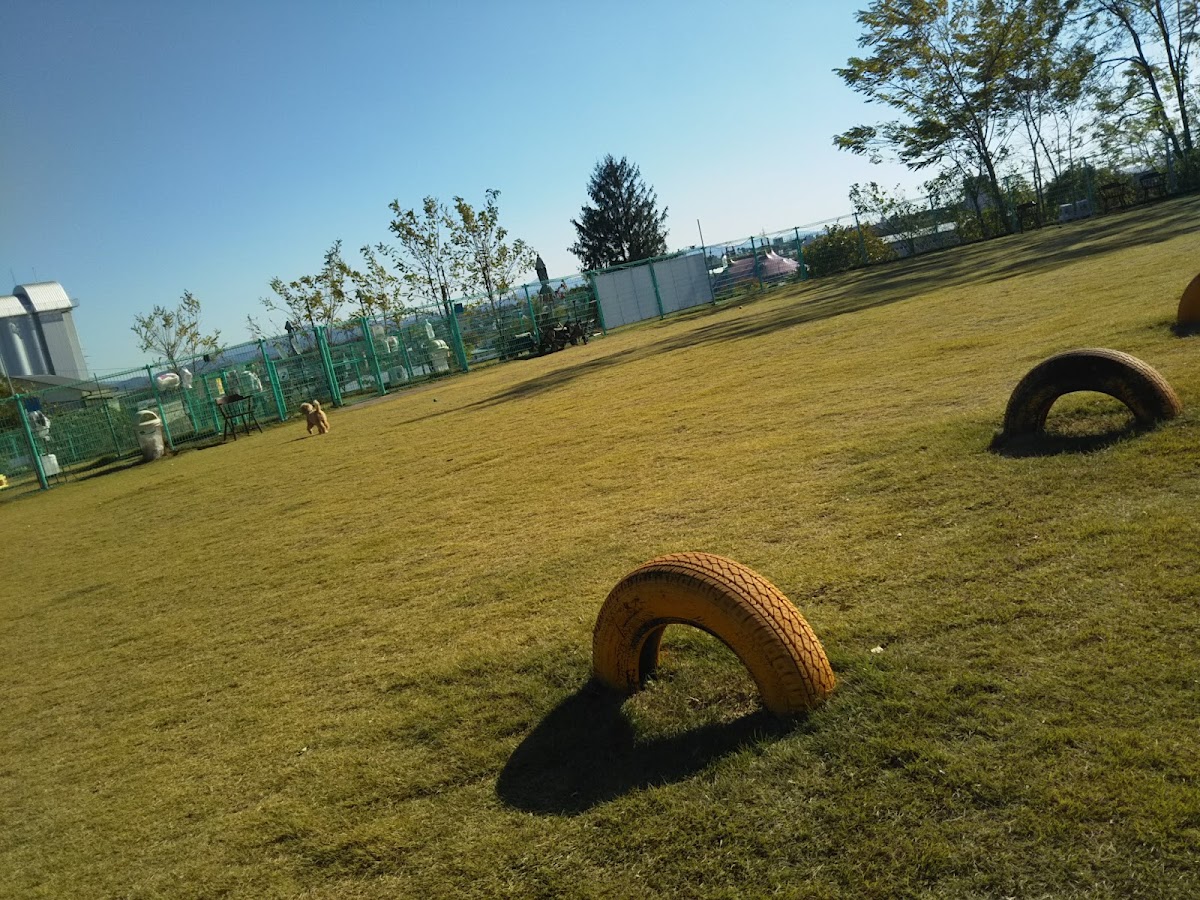 わんわんランドひわだの実際の写真