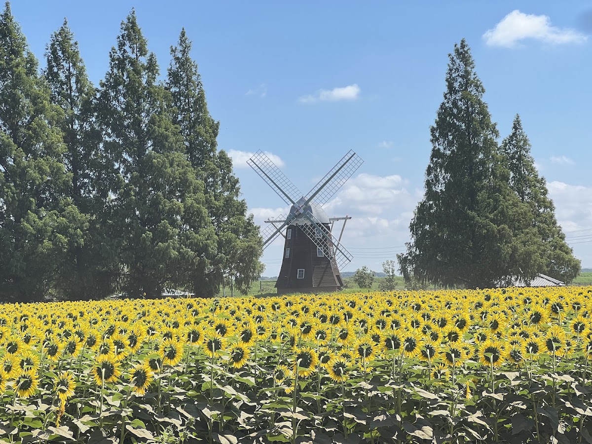 あけぼの山農業公園の実際の写真