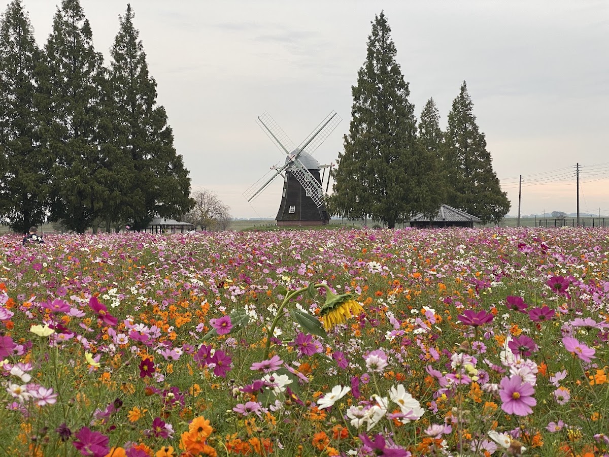 あけぼの山農業公園の実際の写真