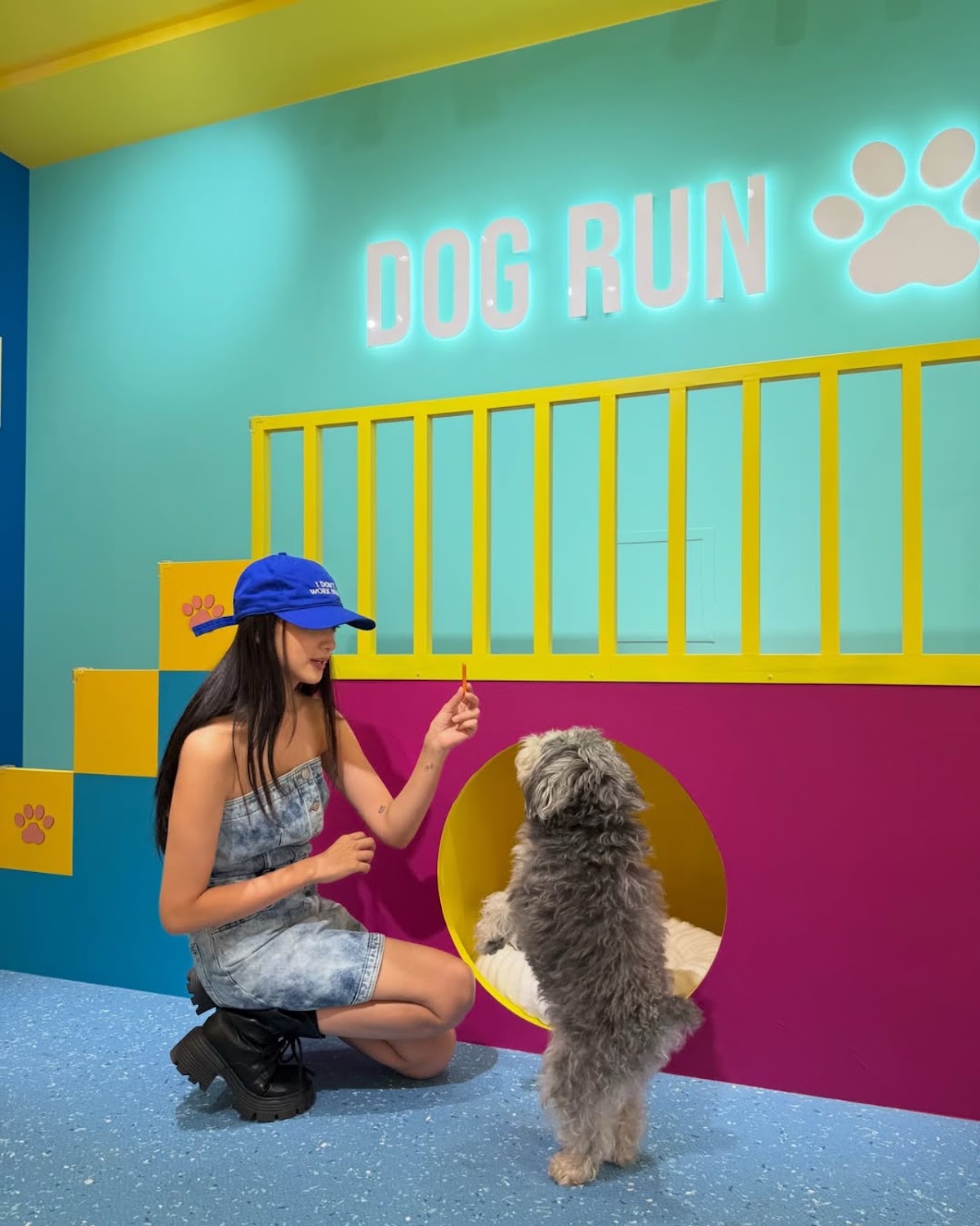 DOG RUN TOKYOの実際の写真