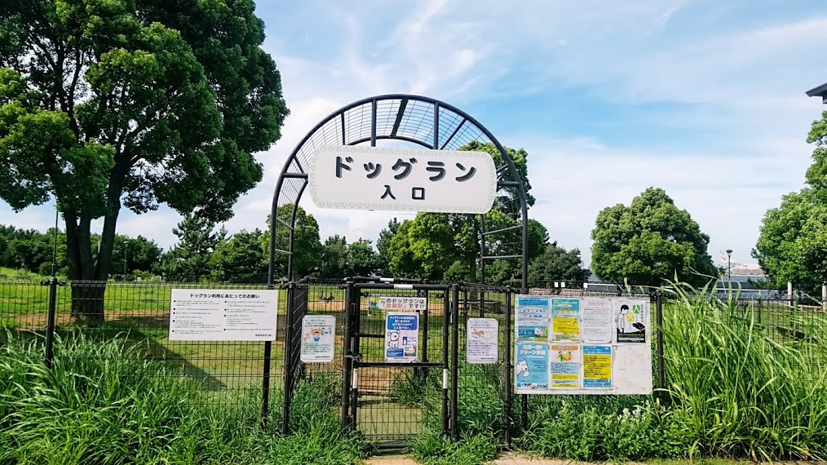 つばさドッグランの実際の写真