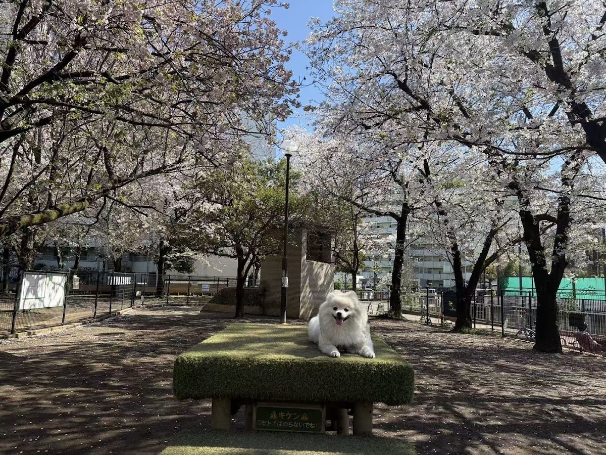 落合公園 犬の広場(ドッグラン)