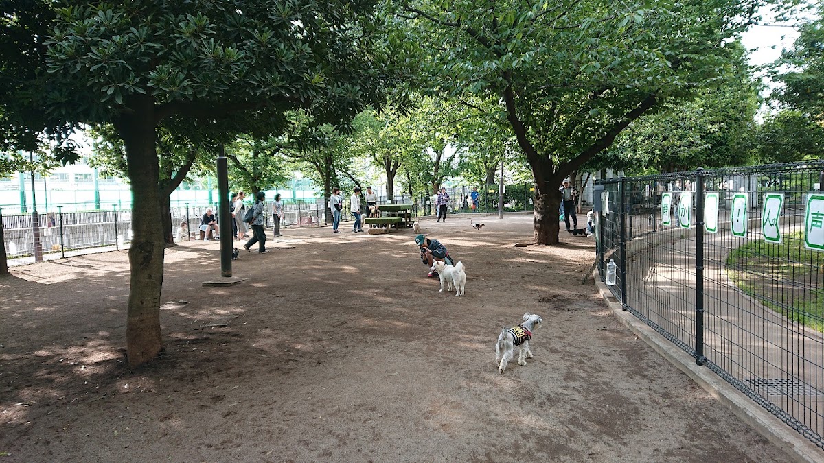 落合公園 犬の広場(ドッグラン)の実際の写真