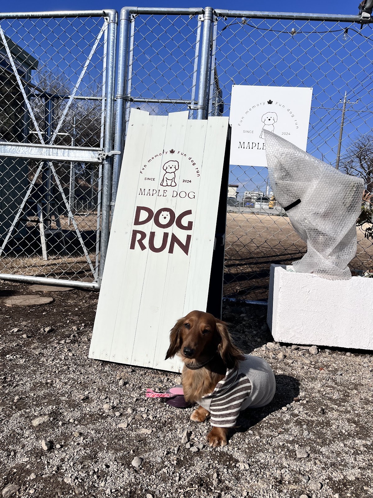 MAPLE DOG ドッグランの実際の写真