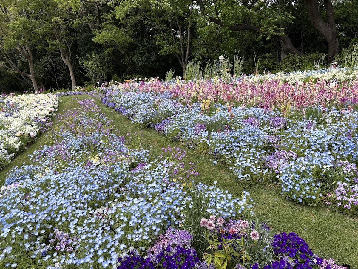 里山ガーデンの実際の写真