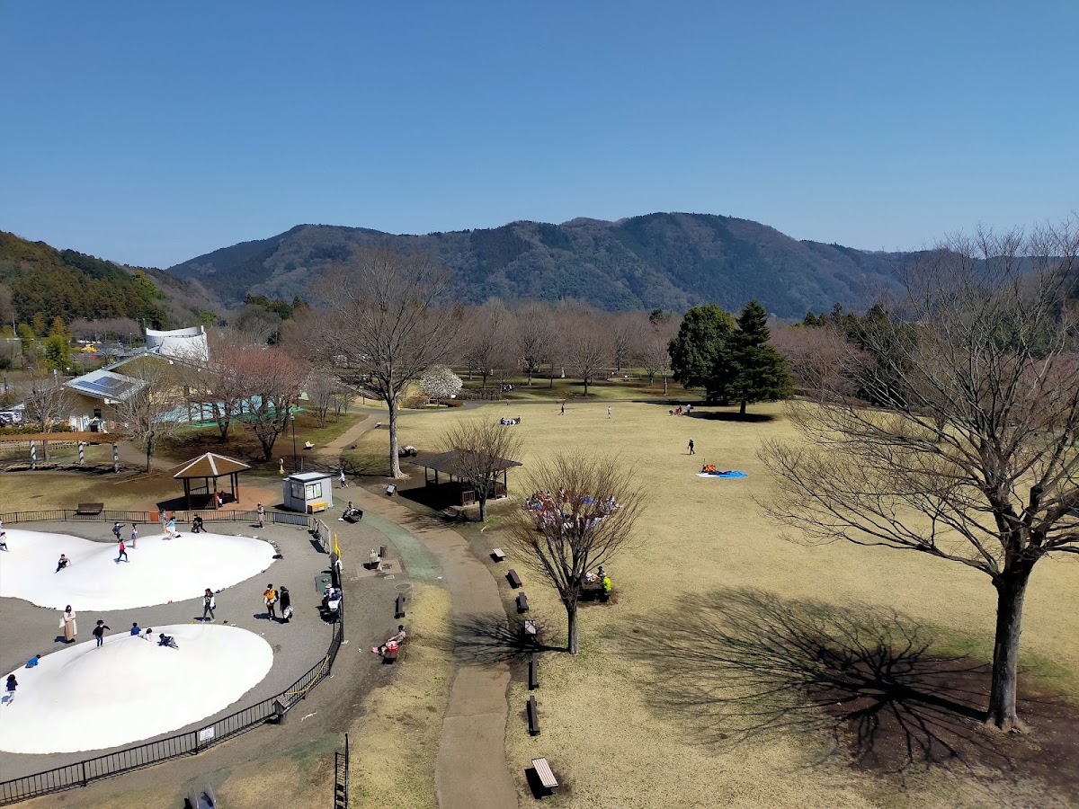 神奈川県立あいかわ公園