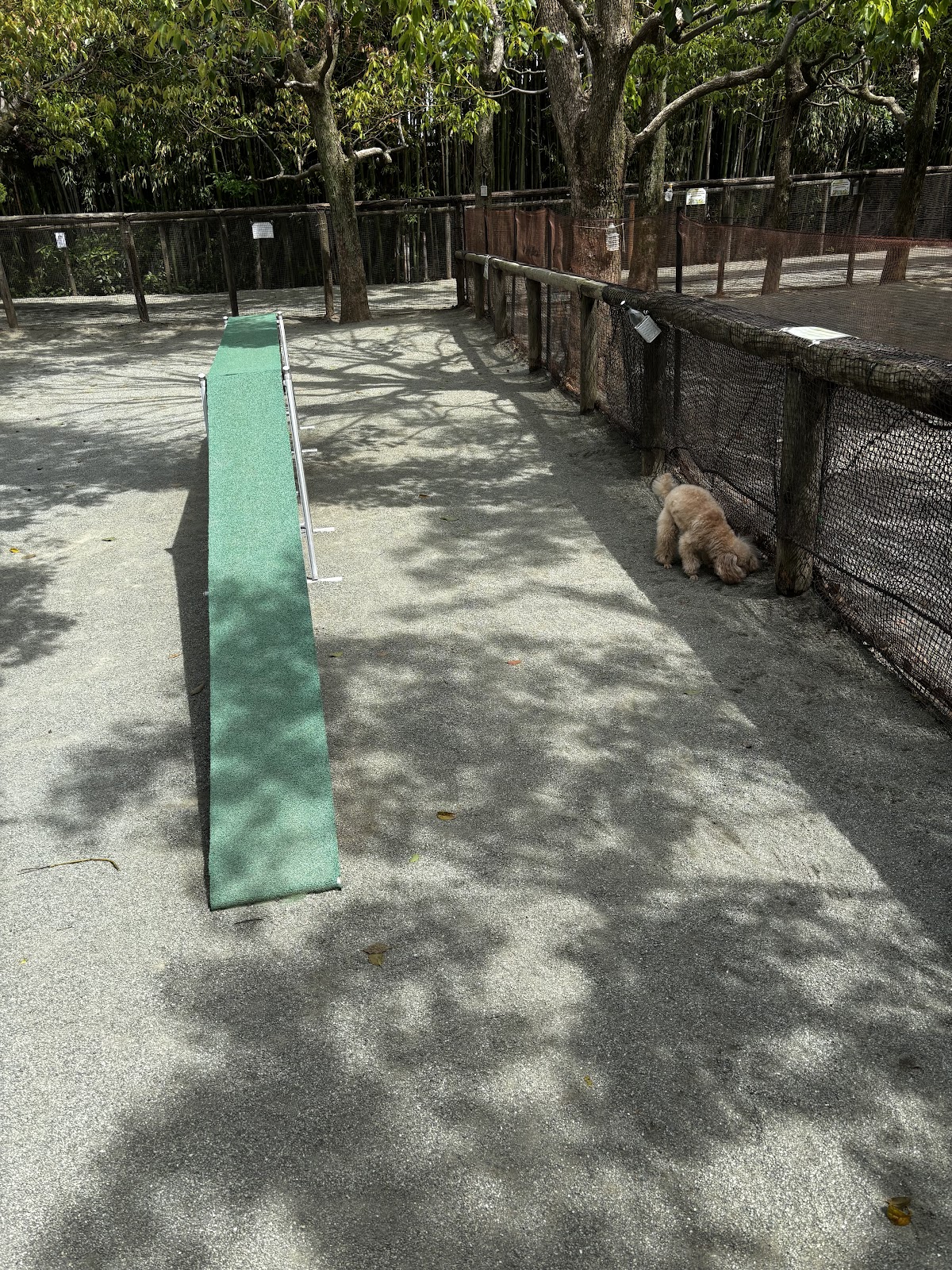 ドッグフォレスト湘南 木村植物園の実際の写真