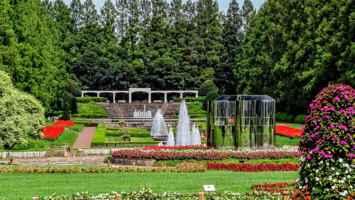 相模原公園の実際の写真