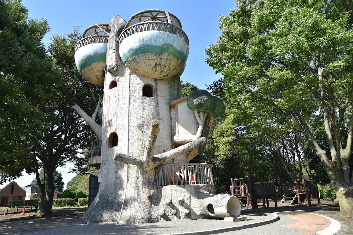 相模原公園の実際の写真