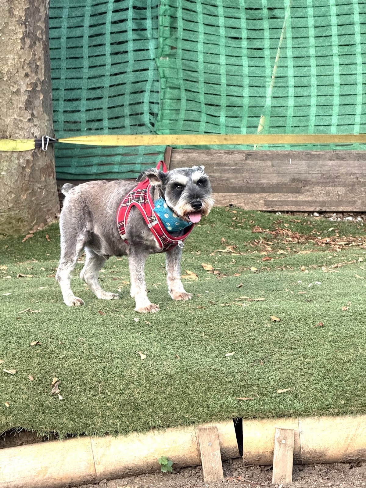 508Base・こどもと犬の遊び場の実際の写真