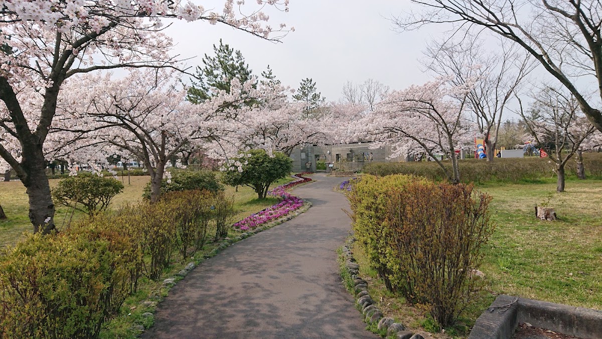 島見緑地