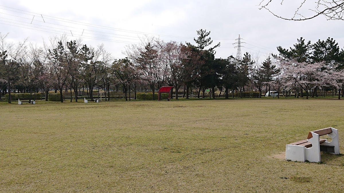 島見緑地の実際の写真