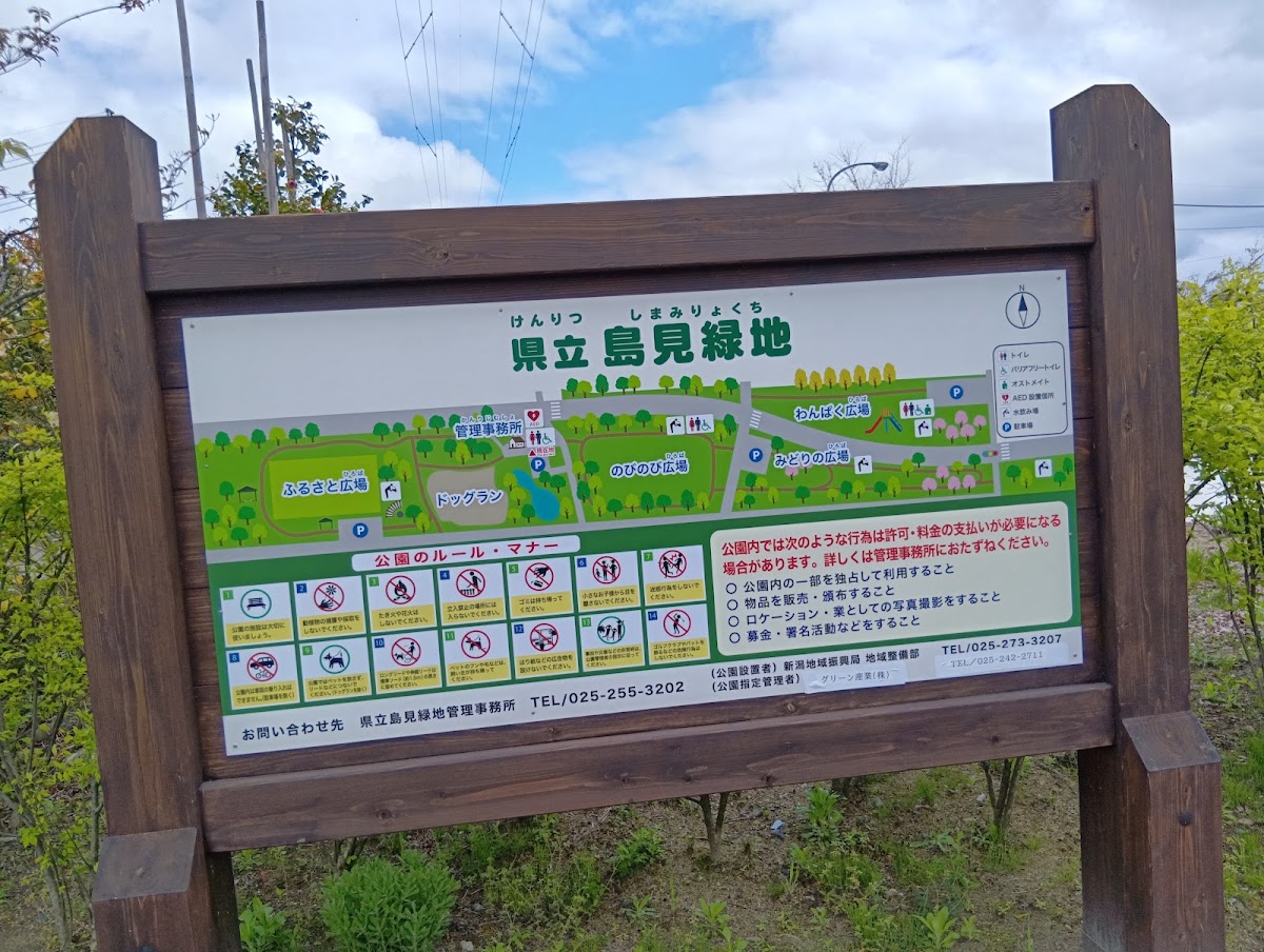 島見緑地の実際の写真