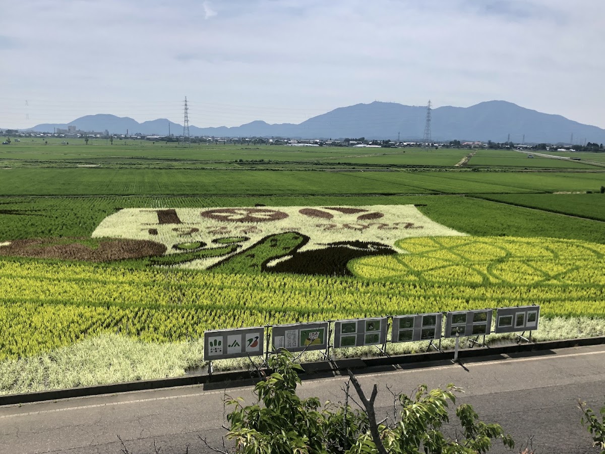 吉田ふれあい広場の実際の写真