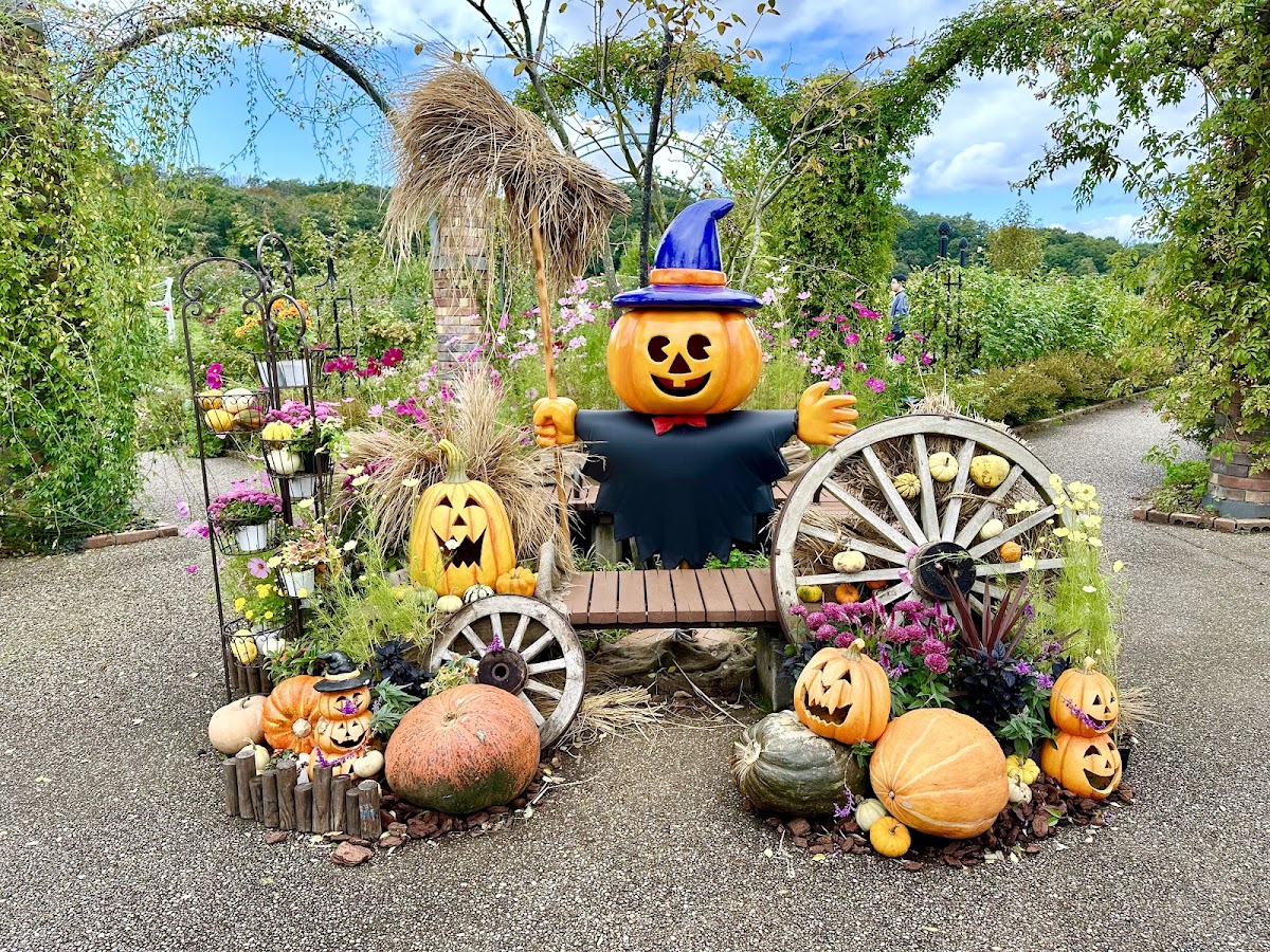 国営越後丘陵公園の実際の写真