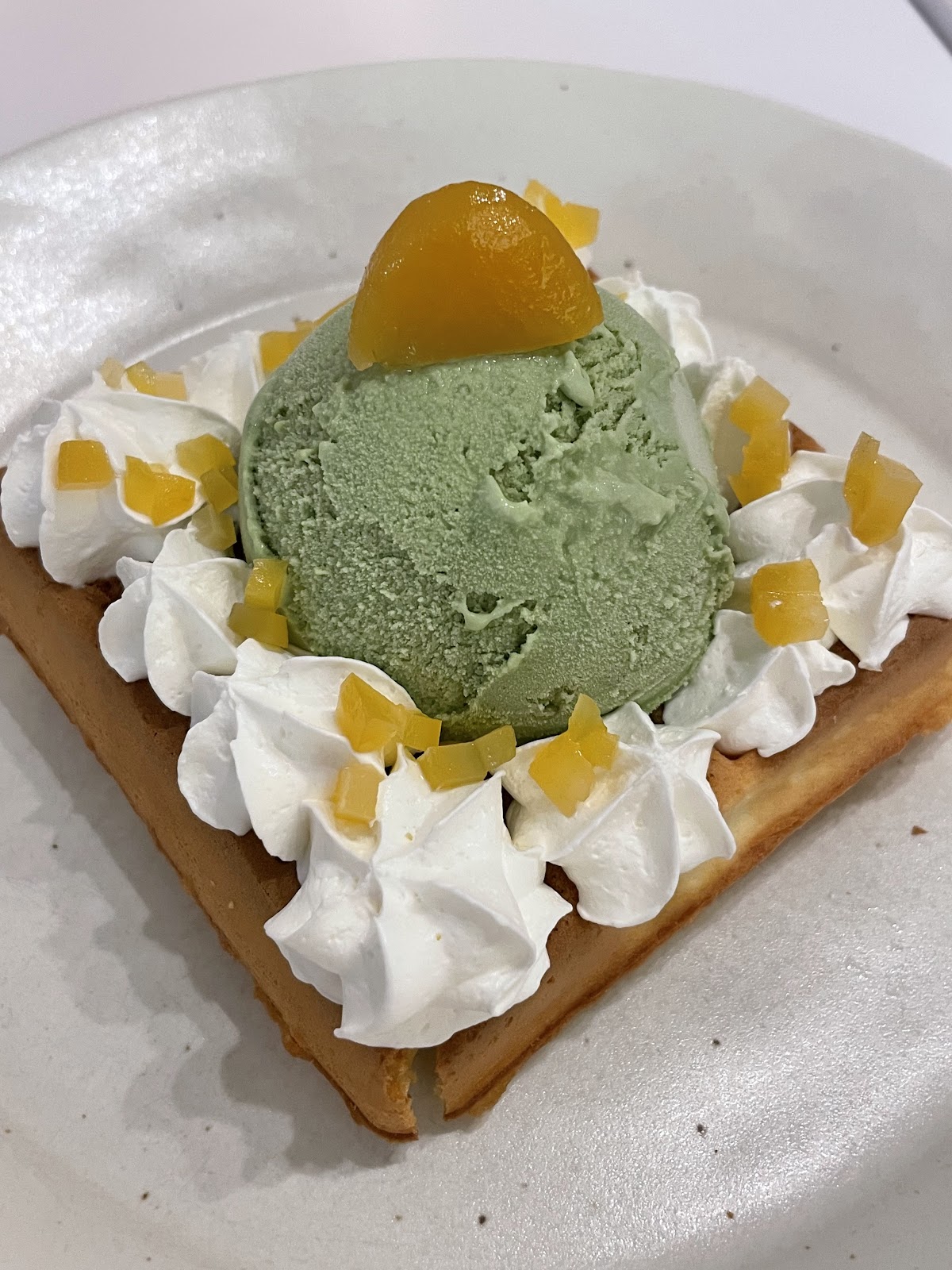 シッポカフェの実際の写真