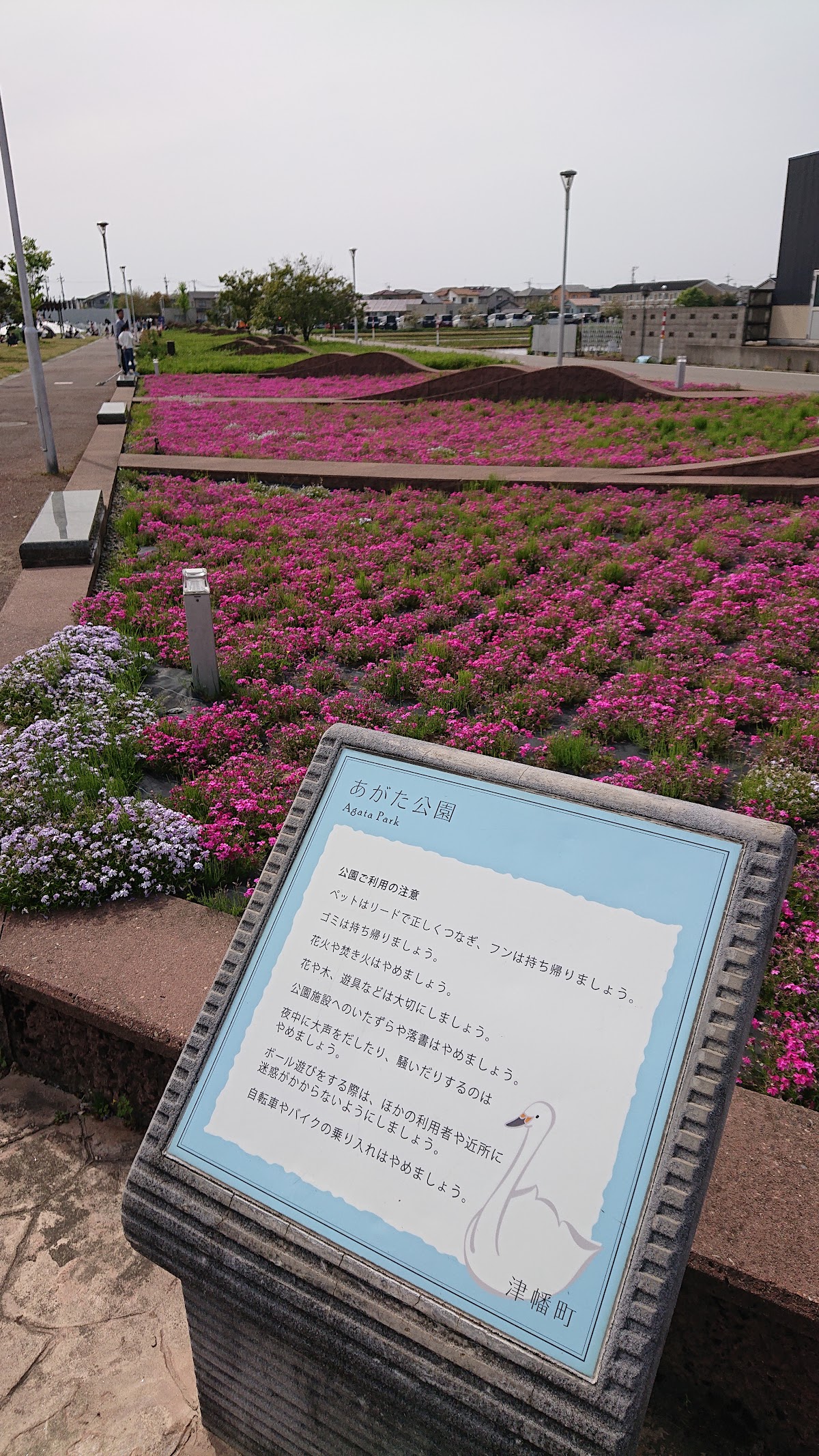 あがた公園の実際の写真