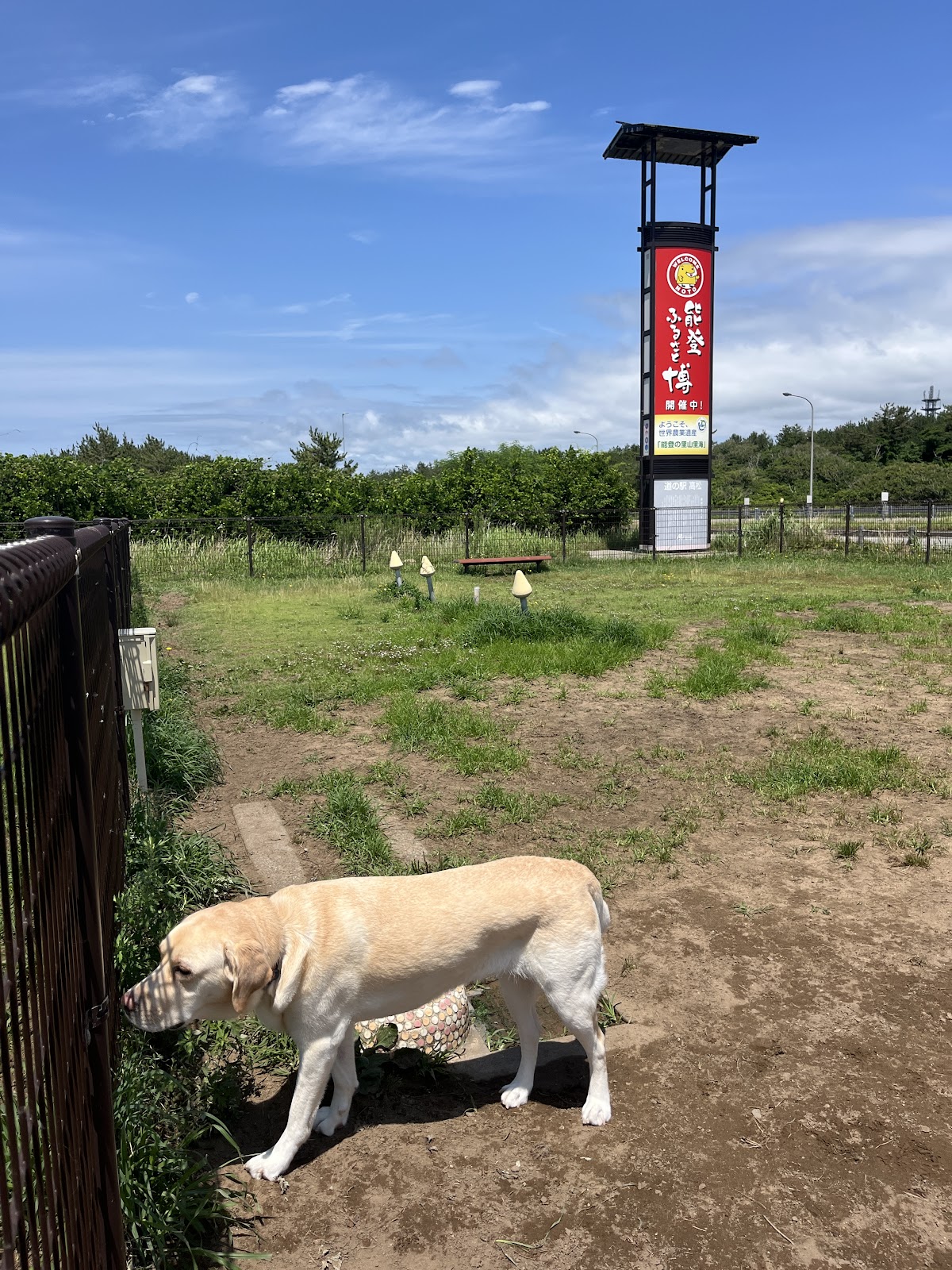 ドッグラン 道の駅 高松 里海館（下り）