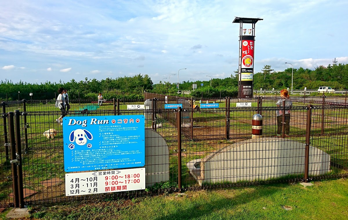 ドッグラン 道の駅 高松 里海館（下り）の実際の写真