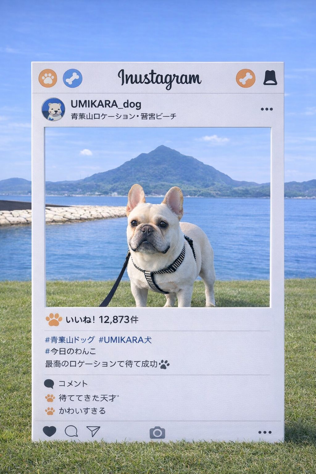 UMIKARA WAN PARK ドッグラン