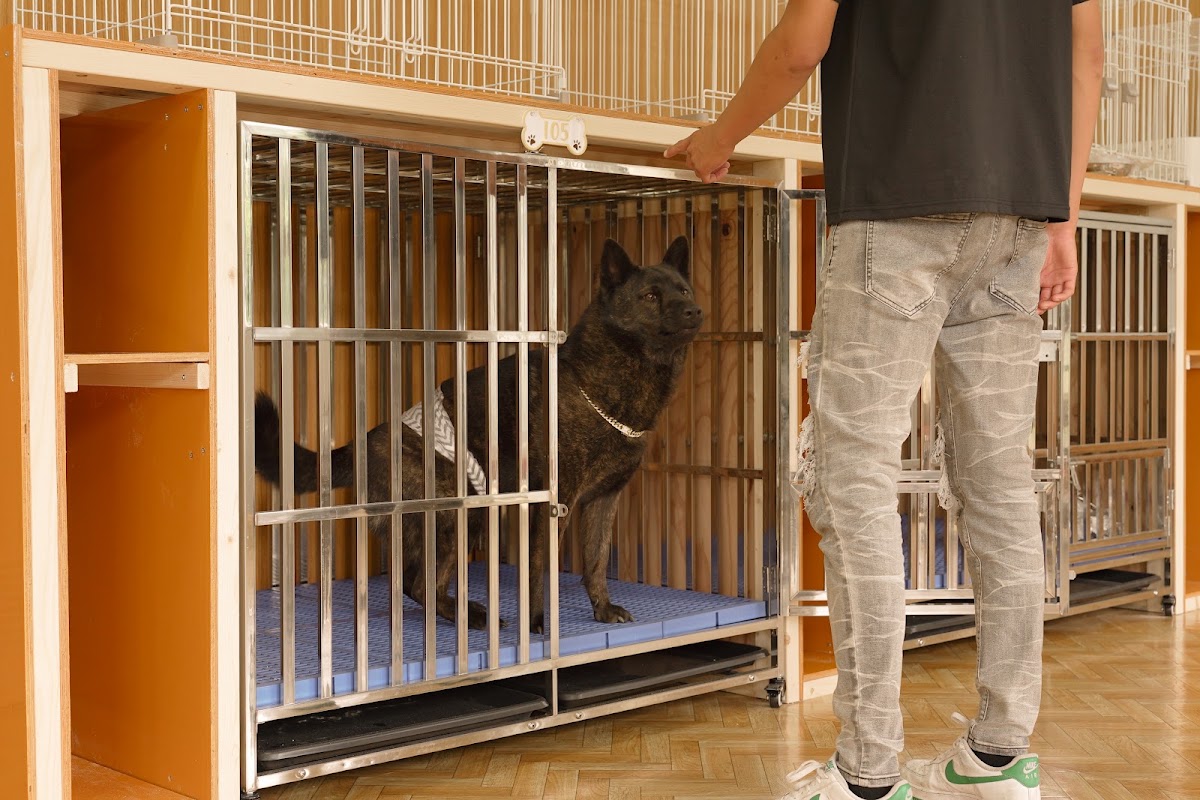 室内ドッグラン・ペットホテル DOG TALES（ドッグテイルズ）の実際の写真