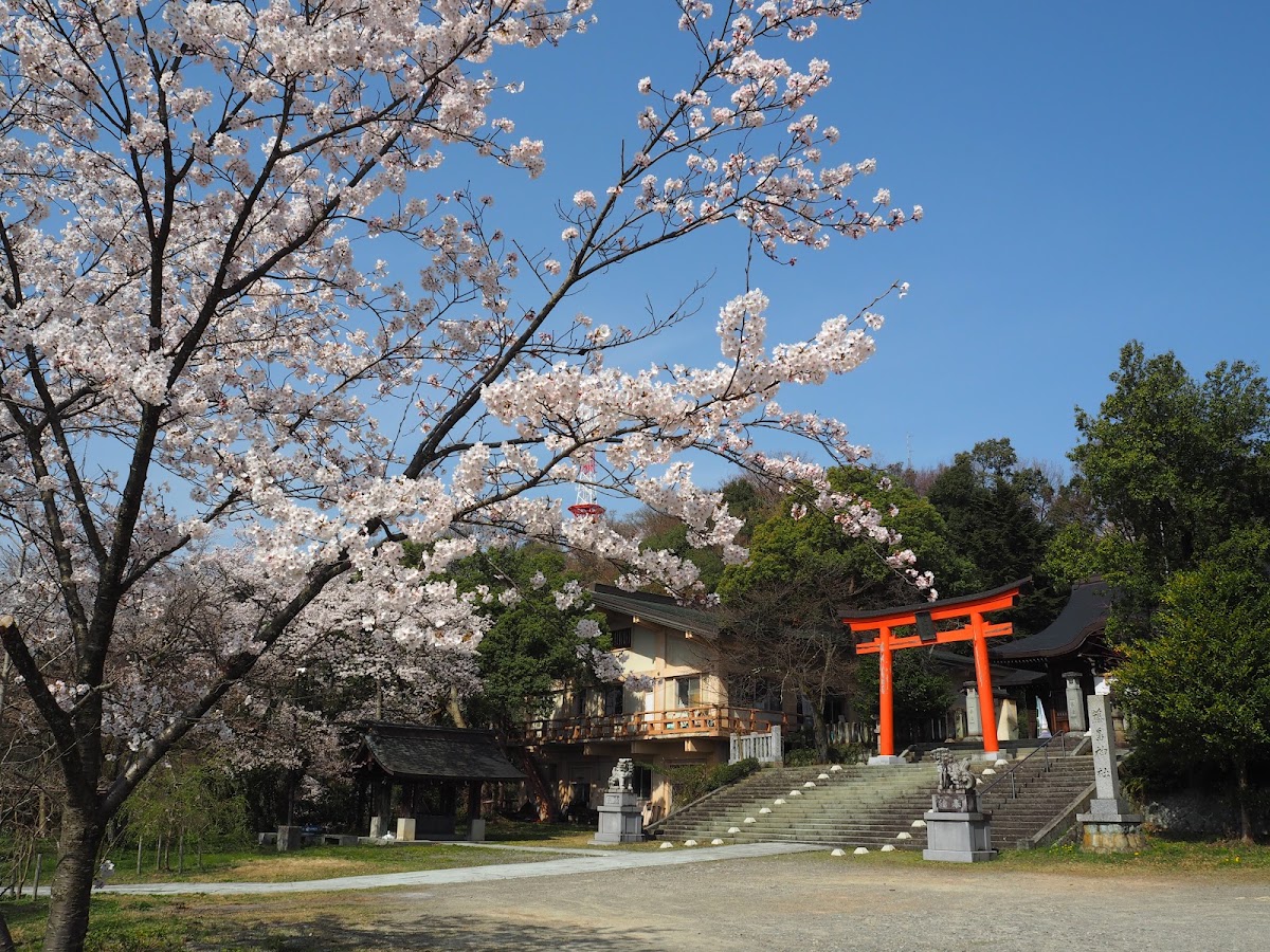 足羽山公園の実際の写真