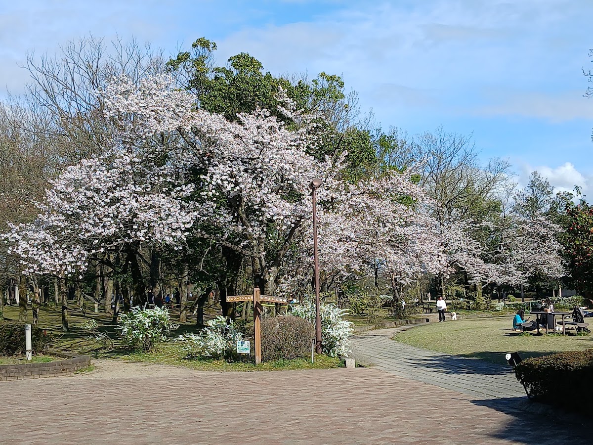 福井県総合グリーンセンターの実際の写真