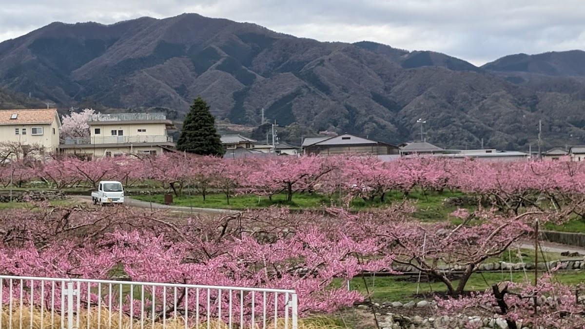 こもれびの森の実際の写真