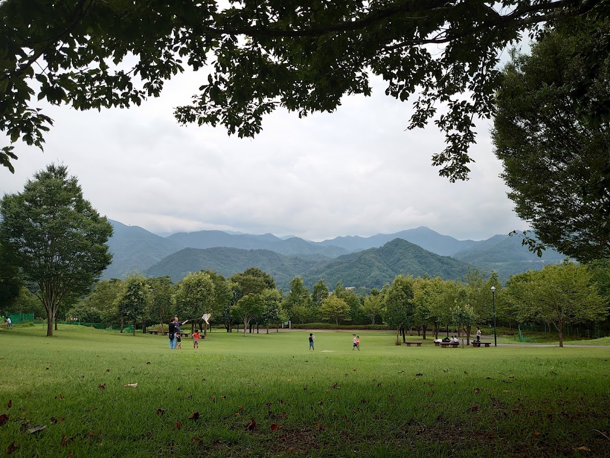 桂川ウェルネスパークの実際の写真
