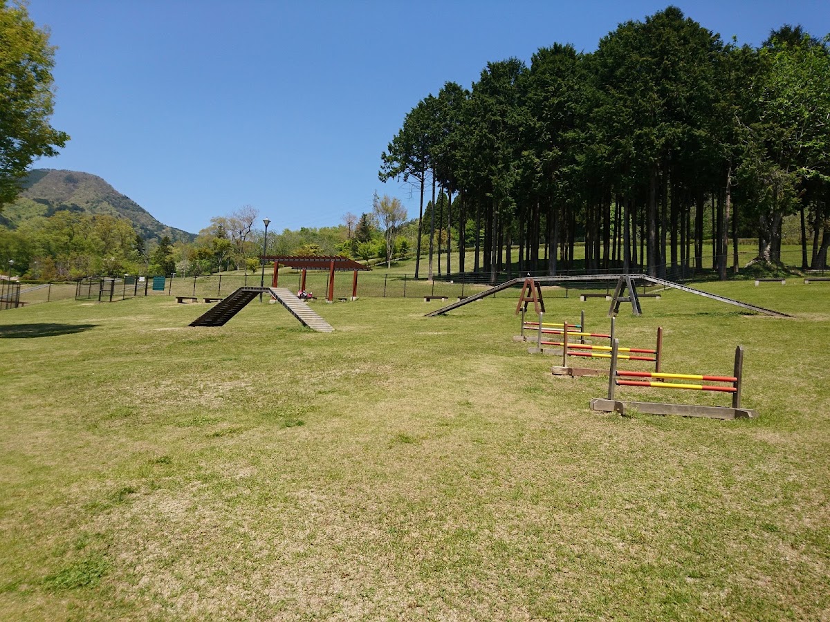 桂川ウェルネスパークの実際の写真