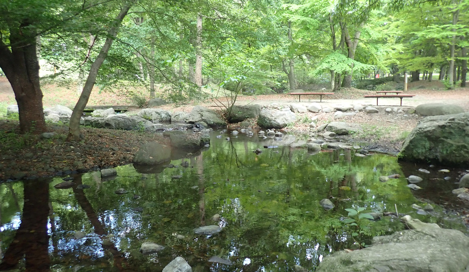 山梨県森林公園金川の森