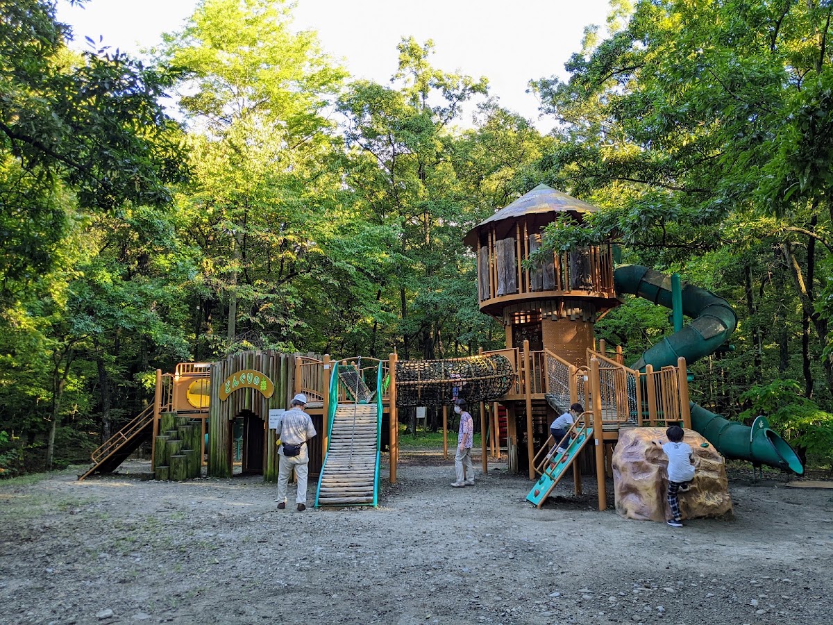 山梨県森林公園金川の森の実際の写真
