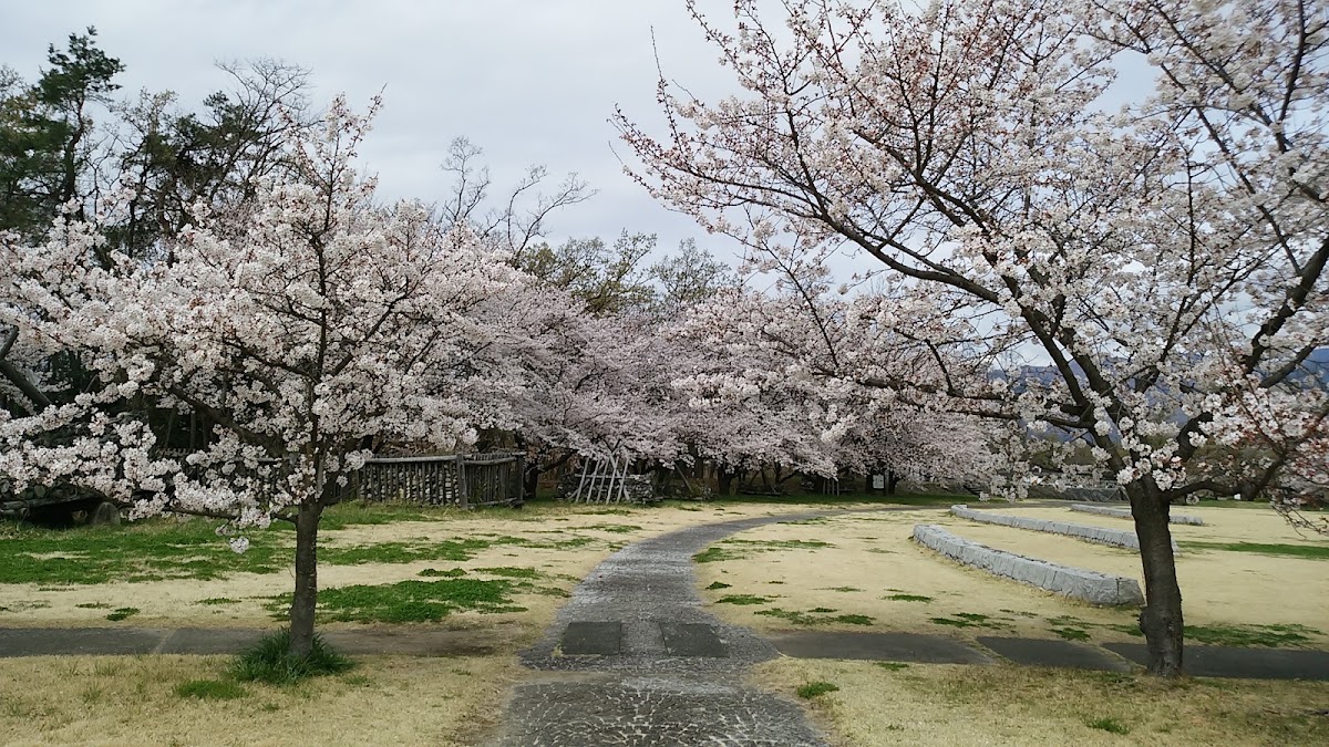 山梨県森林公園金川の森の実際の写真