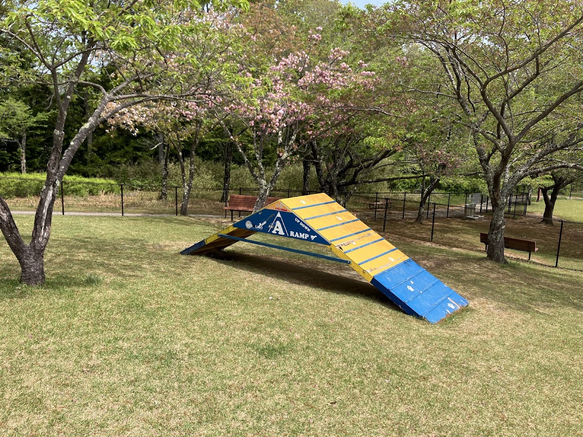 富士川クラフトパーク ドッグランの実際の写真