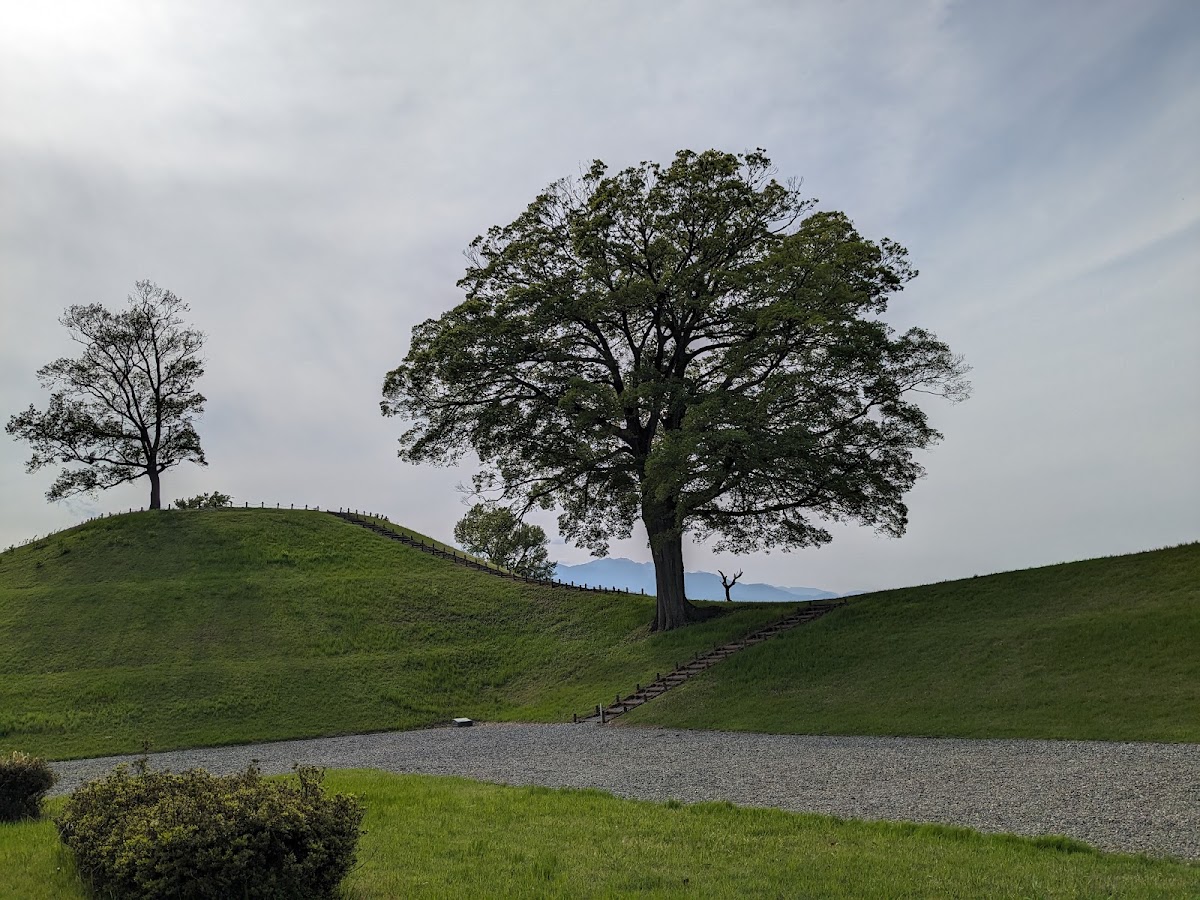 山梨県曽根丘陵公園の実際の写真
