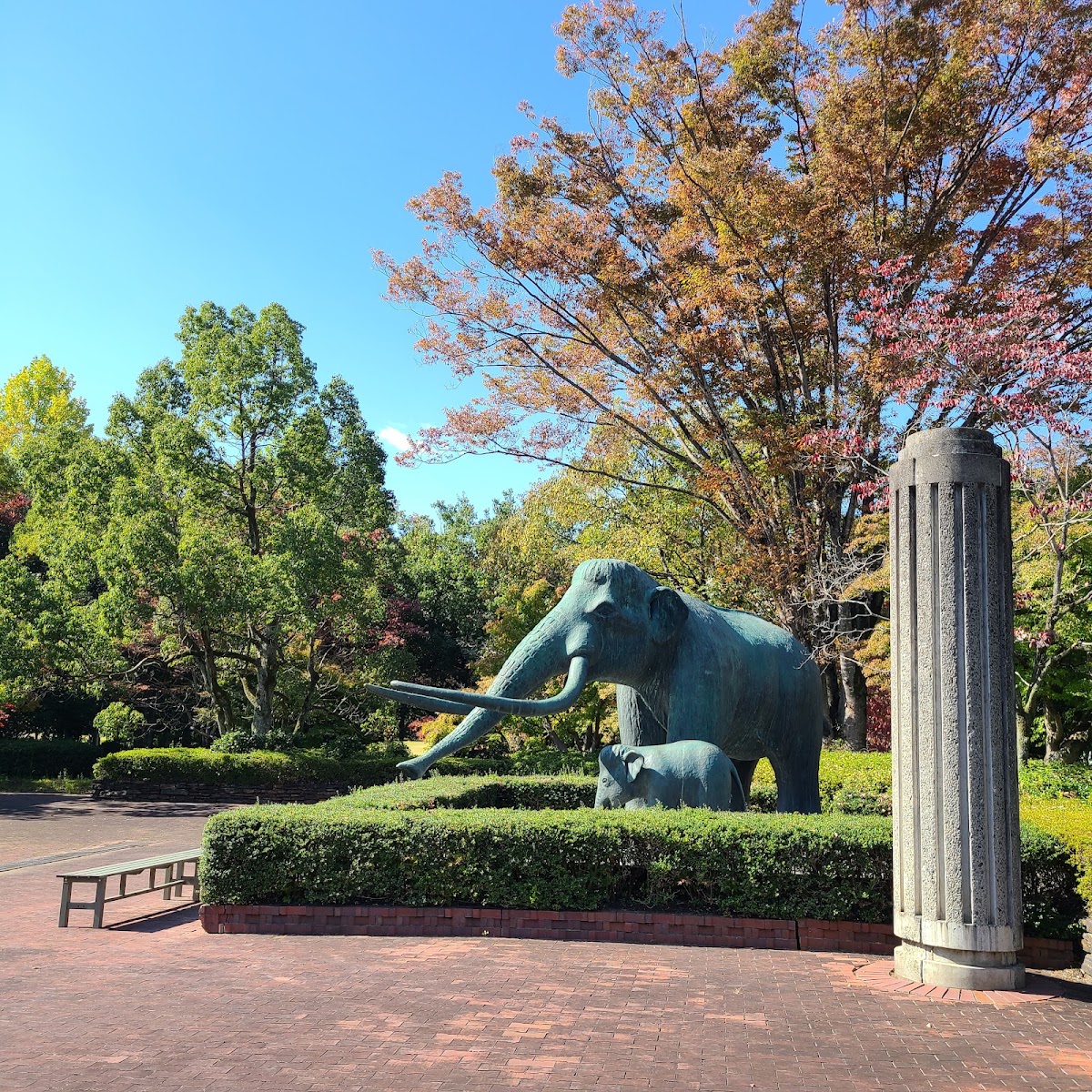 山梨県曽根丘陵公園の実際の写真