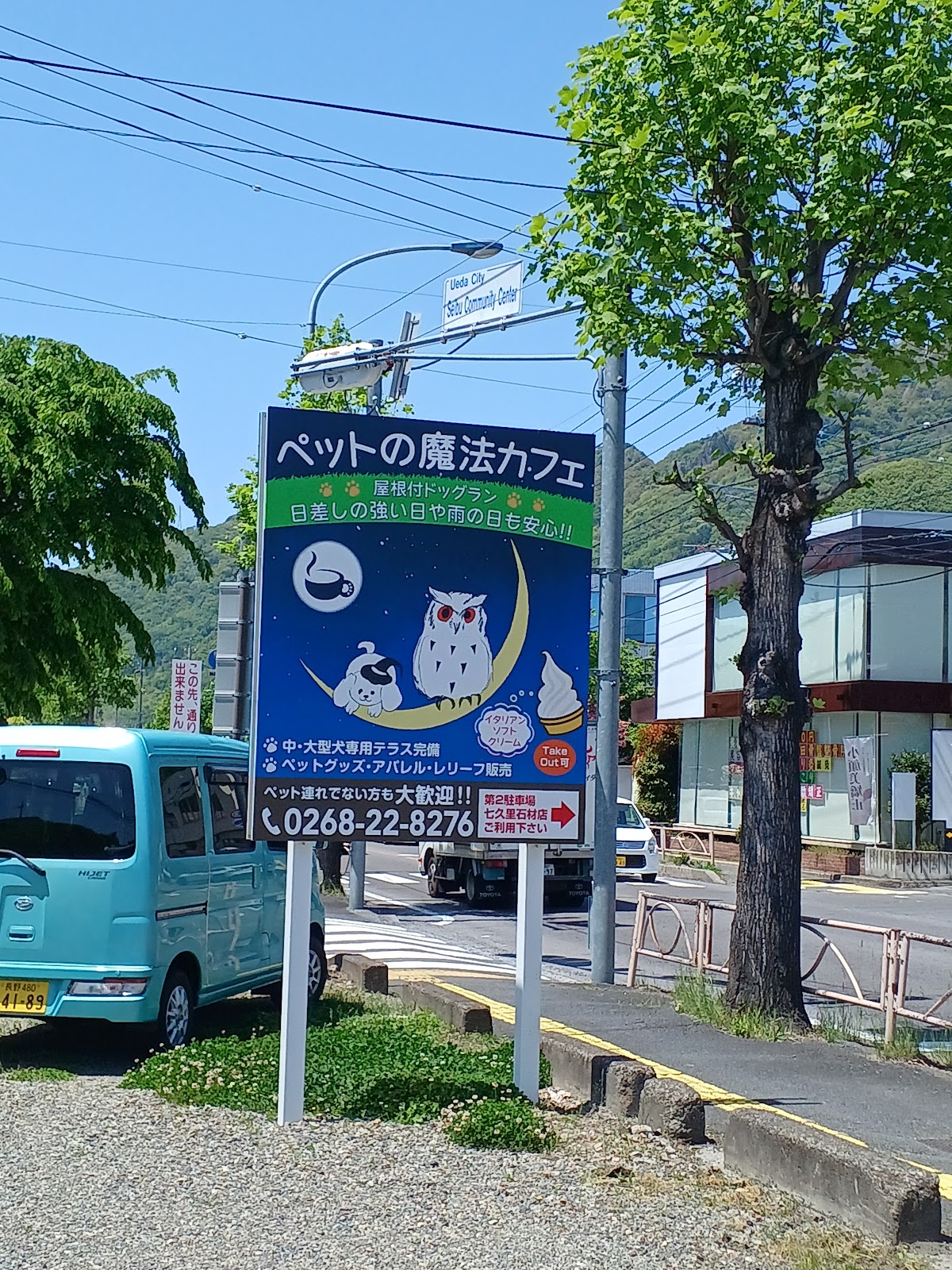 ペットの魔法カフェの実際の写真