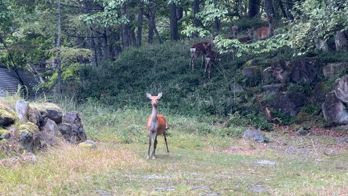 おさんぽひろばの実際の写真