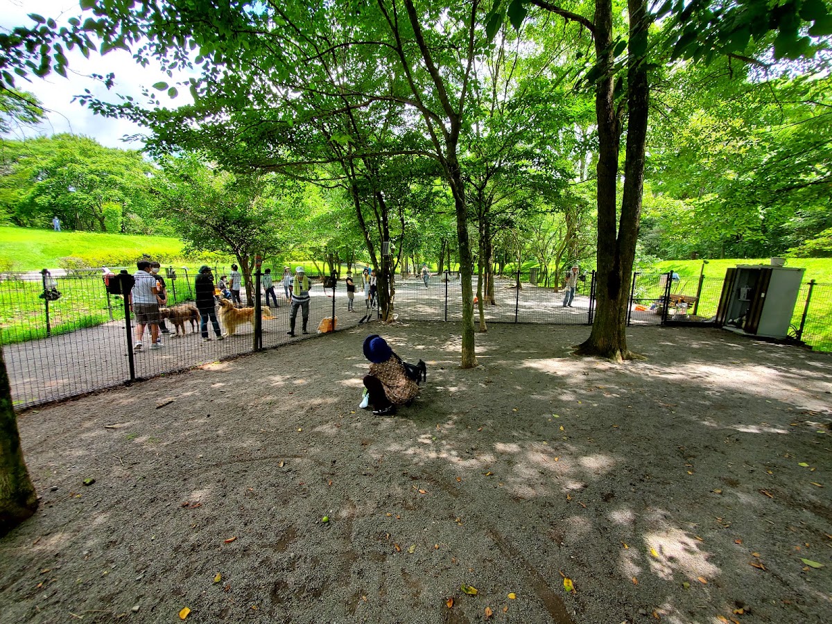 湯川ふるさと公園 ドッグラン